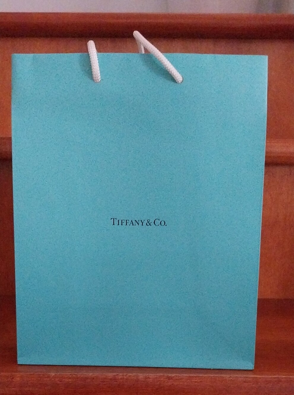 Tiffany & Co. Signature Blue Gift Bag